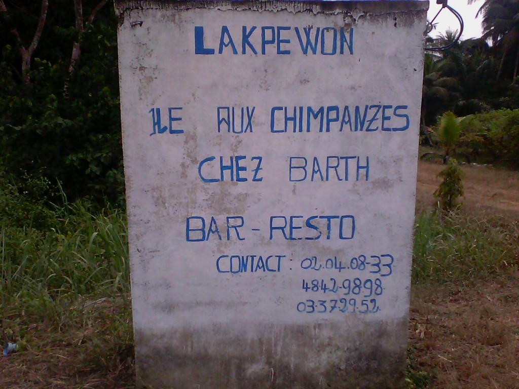 Article : Les Chimpanzés du parc d’Azagny meurent de faim