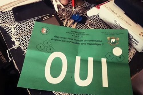 Article : Référendum 2016 en Côte d’Ivoire, le NON pouvait l’emporter si…